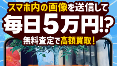 株式会社コンサルの副業の基本概要