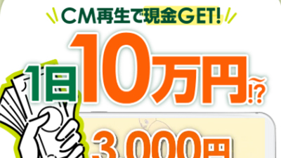 株式会社新の副業の基本概要